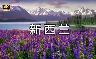 今夜西甲传出新动向，犹他爵士门线救险，管理层表态——底气十足，球队文化再被提及